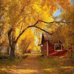 دانلود آهنگ جدید علی رحیمی ای بو بو بو هیکل میل برنو